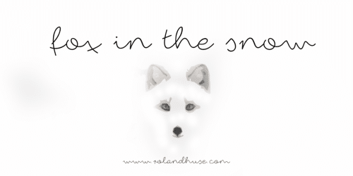 Fox In The Snow Font