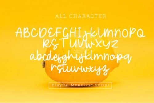 Fresh Lemonade Playful Monoline Script Font 2