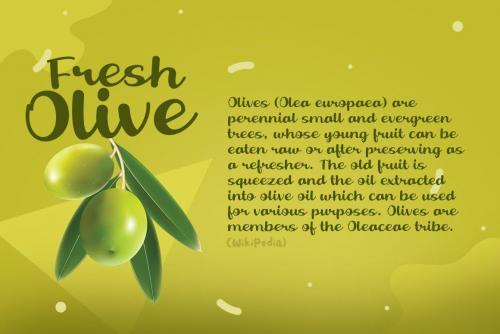 Fresh Olive Script Font 2