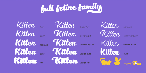 Kitten Monoline Font 5