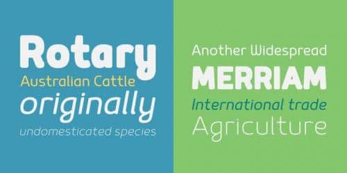Mairy Black Oblicua Font 1