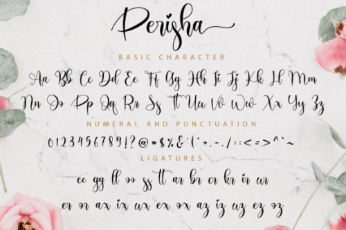 Perisha Modern Calligraphy Font 11