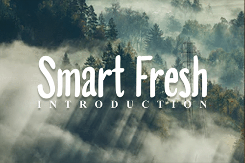 Smart Fresh Font 1