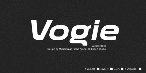 Vogie Sans Serif Font 1