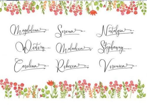 Wallows-Ornaments-Font-2