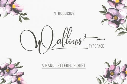 Wallows Ornaments Font