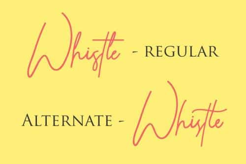 Whistle Signature Font 6