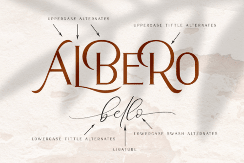 Alberobello Fashionable Font Duo 10