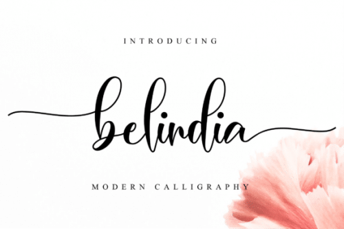 Belindia Modern Calligraphy Font 1
