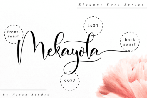 Belindia Modern Calligraphy Font 10