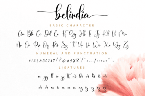 Belindia Modern Calligraphy Font 12