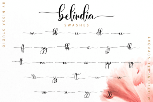 Belindia Modern Calligraphy Font 13