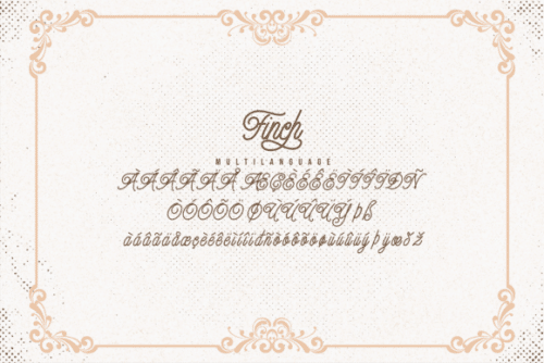 Finch Monoline Script Font 10
