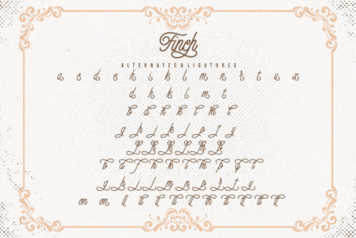 Finch Monoline Script Font 11