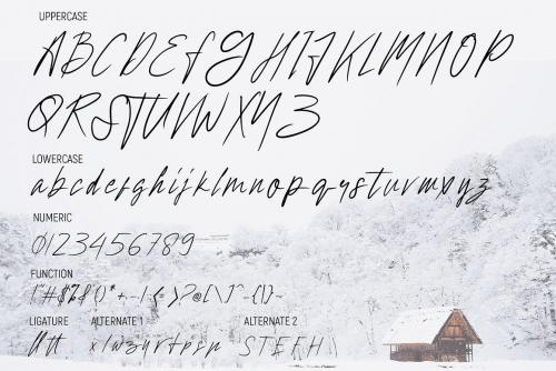 Hollywise Signature Script Font 6