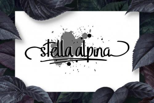 Stella Alpina Script Font 2