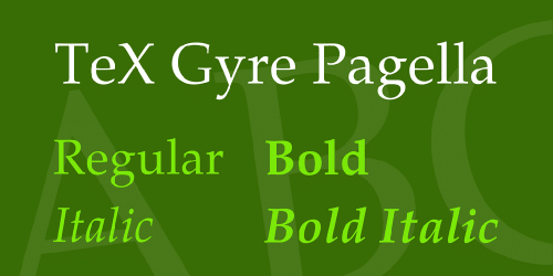 TeX Gyre Pagella Font Family 1