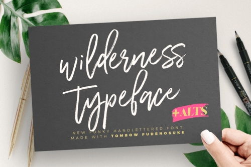 Wilderness Typeface Font (1)