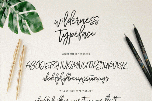 Wilderness Typeface Font 10