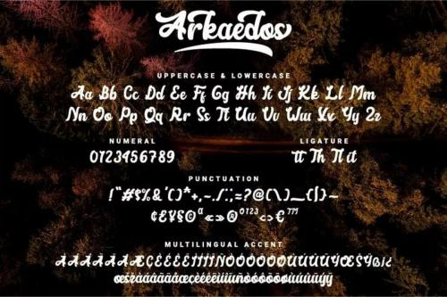 Arkaedos Font 6