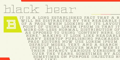 Black Bear Font 4