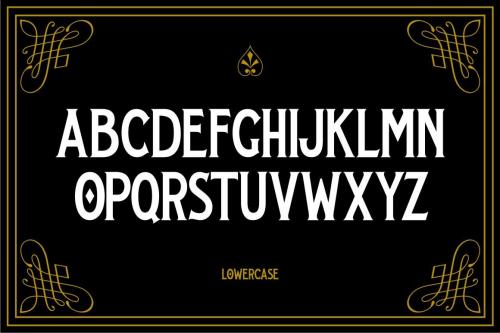 Black Velvet Font 2