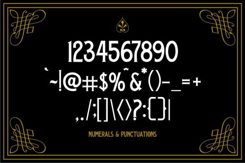 Black Velvet Font 3