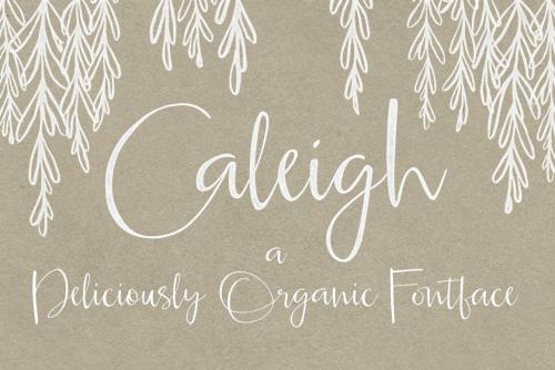 Caleigh Script Font with Bonus 1