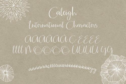 Caleigh Script Font with Bonus 2