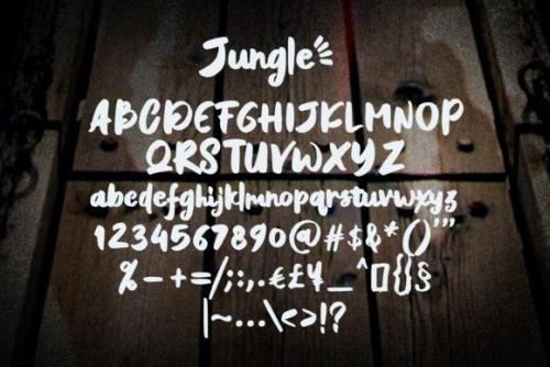 Jungle Font 4