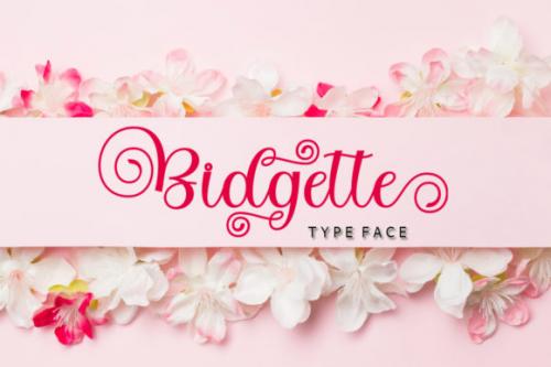 Bitgette-Script-Font