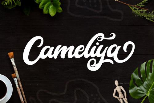 Cameliya-Bold-Calligraphy-Script-Font-1