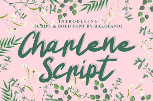 Charlene-Script-Font