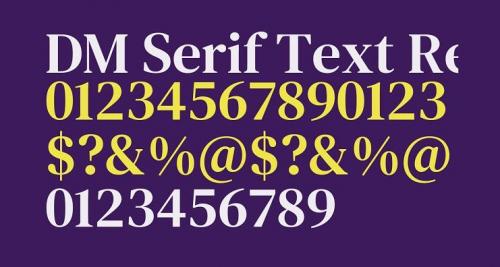 DM-Serif-Text-Font-2