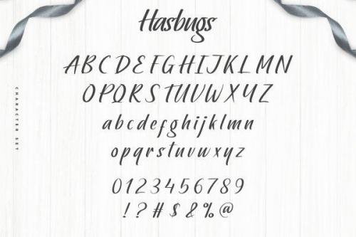 Hasbugs-Font-5