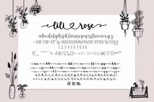 Lilirose-Font-7