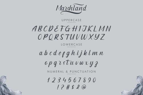 Marshland-Font-2