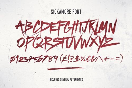 Sickamore-Script-Font-4