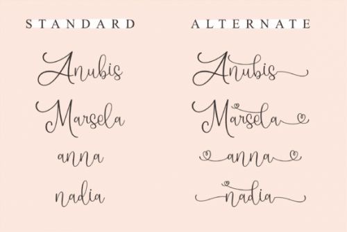 Aisha-Calligraphy-Script-Font-10