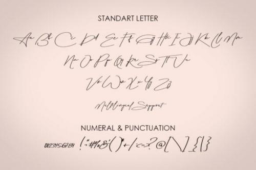 Aletheia-Handwritten-Signature-Font-9