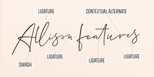 Allison-Script-Font-4