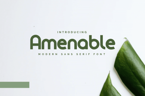 Amenable-Font
