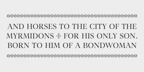 Aria-Pro-Serif-Font-3