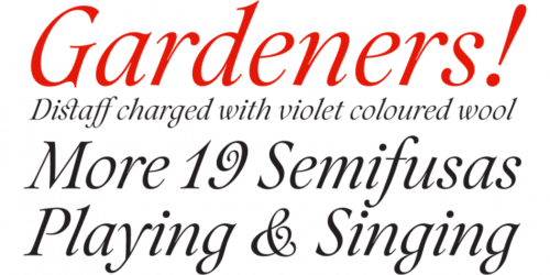Aria-Pro-Serif-Font-4