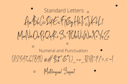 Ballpoin-Rush-Handwritten-Script-Font-14