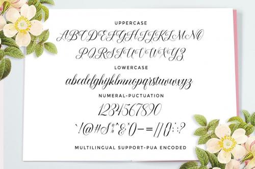 Beauty-Queen-Font-6