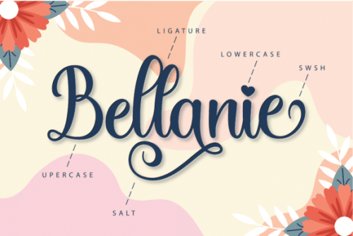 Bellanie-Modern-Script-Font-6