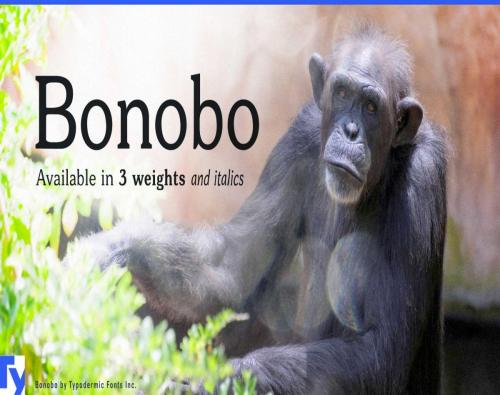 Bonobo-Font-0