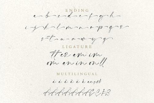British-Signature-Script-Font-13