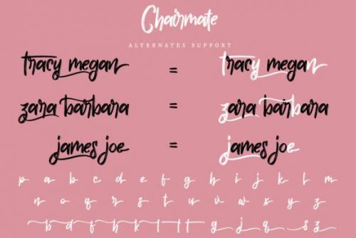 Chairmate-Brush-Calligraphy-Font-11